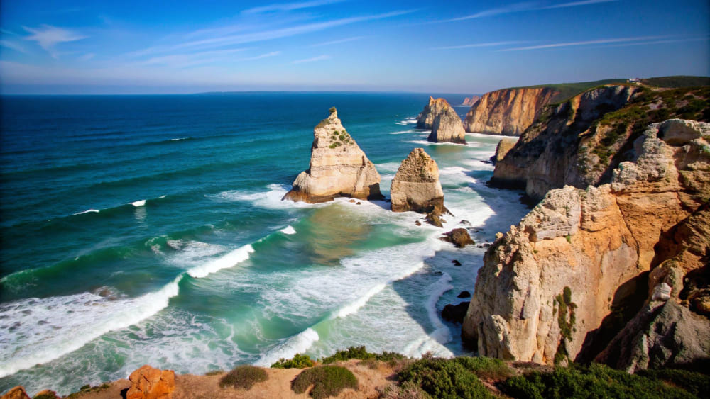 Vineyard rows at sunset