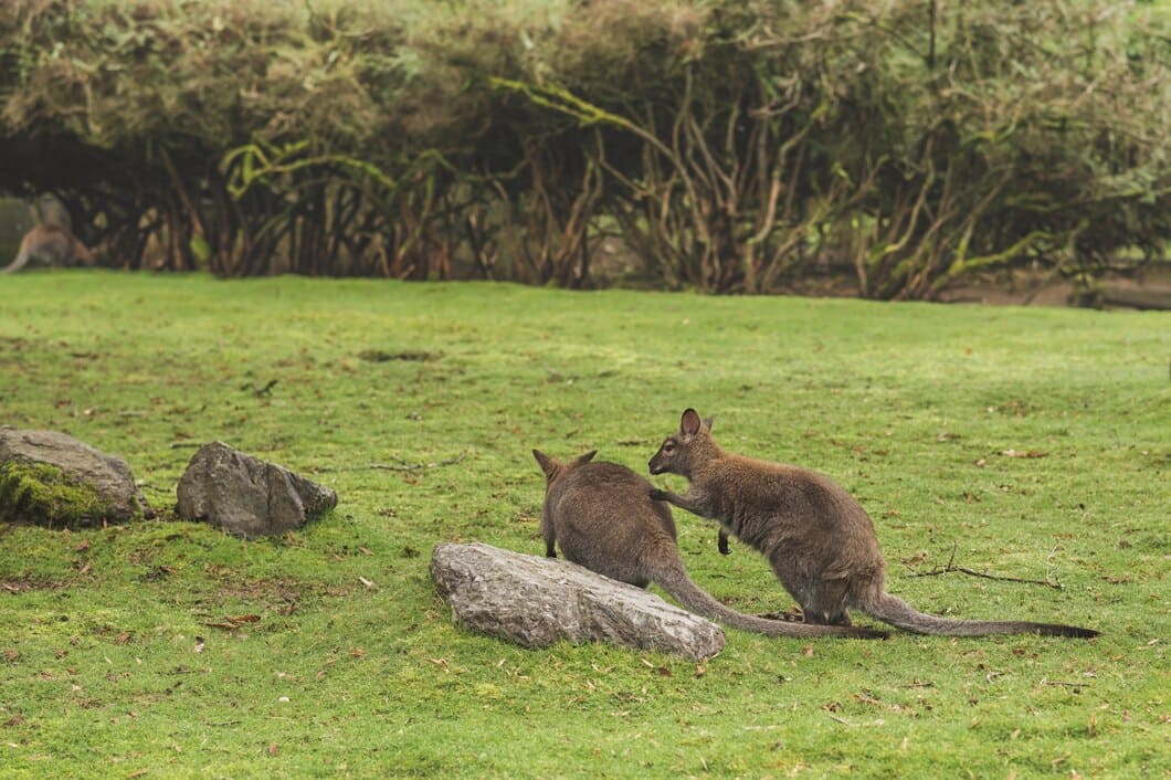Portrait of reviewer Samira