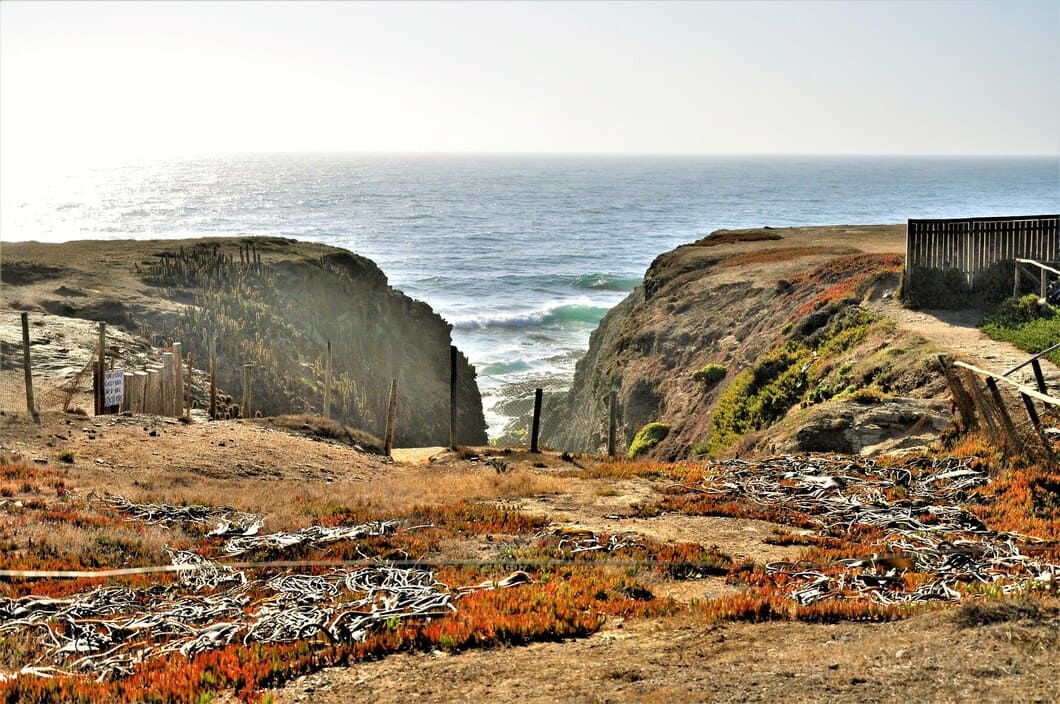 Coastline and headland from above